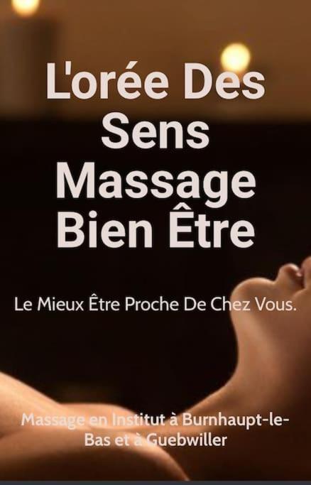 Gite Cosy Pour 2 A 4 Personnes, Village Proche Mulhouse Burnhaupt-le-Bas Eksteriør billede