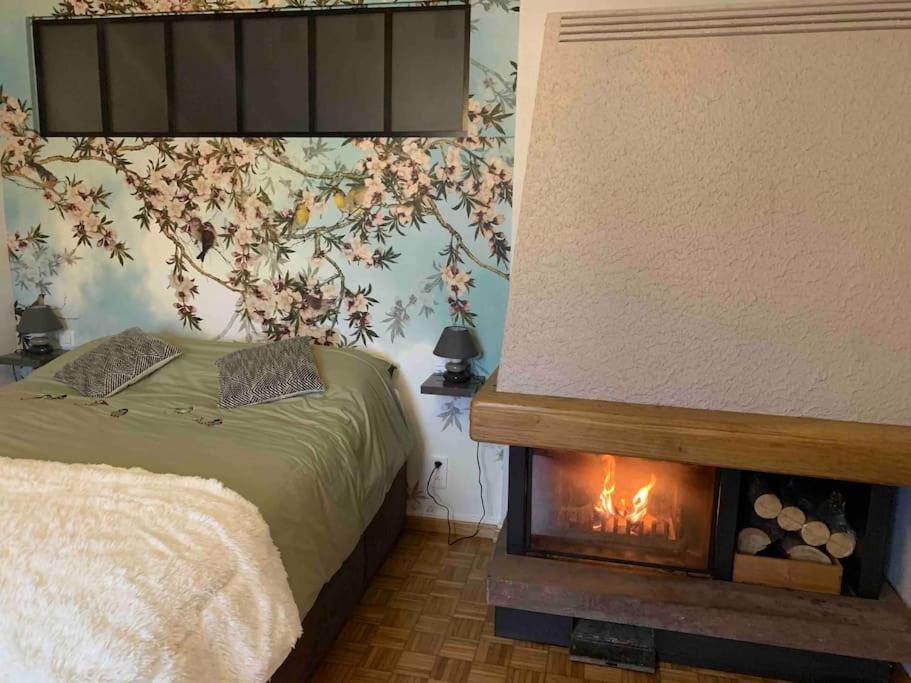 Gite Cosy Pour 2 A 4 Personnes, Village Proche Mulhouse Burnhaupt-le-Bas Eksteriør billede