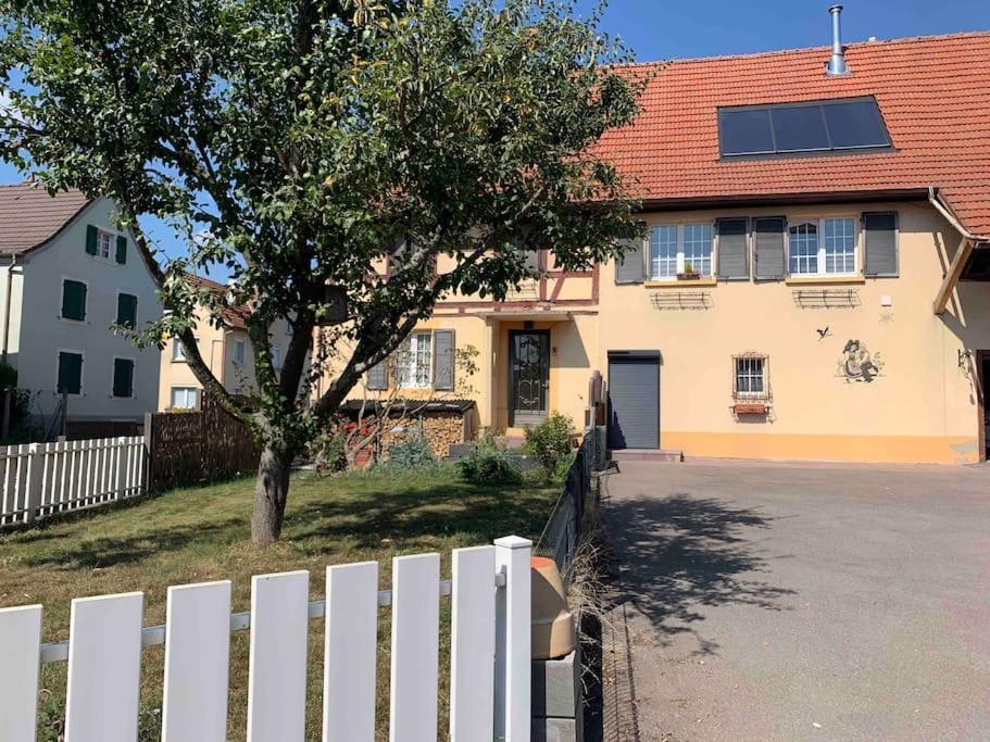 Gite Cosy Pour 2 A 4 Personnes, Village Proche Mulhouse Burnhaupt-le-Bas Eksteriør billede